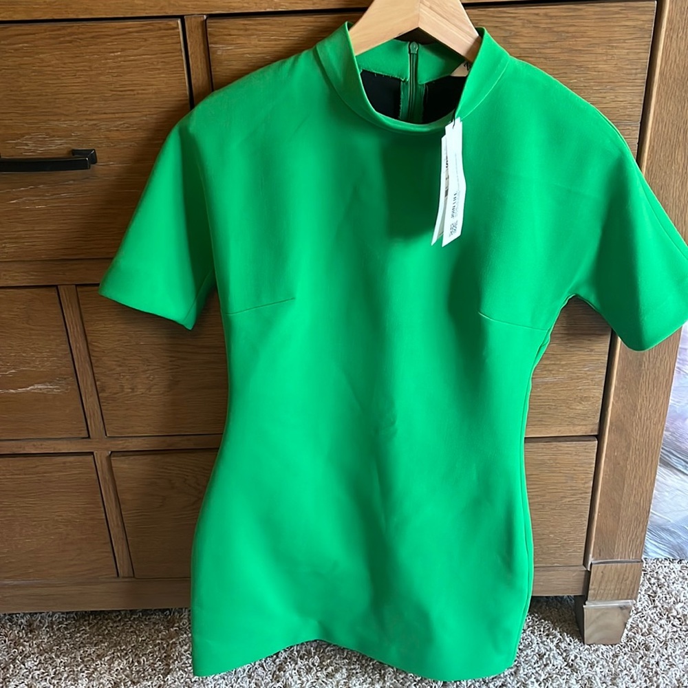 NWT Zara dress Sz Small